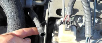 DSCN0825.webp