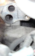 DSCN0826.webp