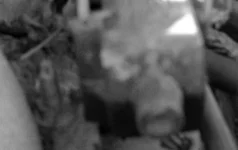DSCN0823.webp