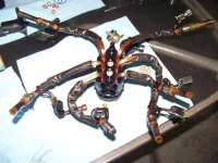 Spider 1.webp