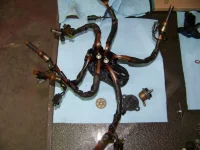 Spider 2.webp
