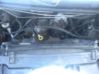 DSCN3485.webp