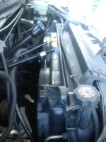 DSCN3483.webp