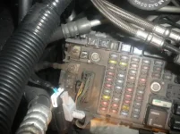 DSCN3545.webp