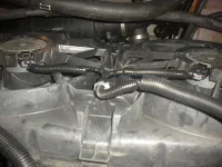 DSCN3556.webp