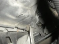 DSCN3558.webp