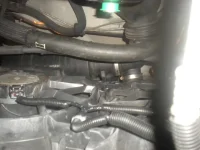 DSCN3559.webp