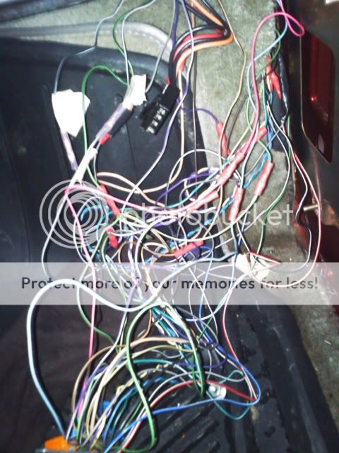 TCCMharness.jpg