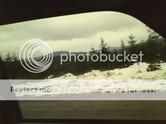 Picture0011.jpg